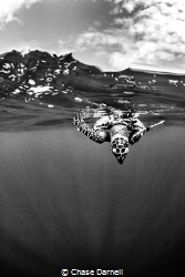 "Take a Breath"

Canon 550D Tokina 10-17 at 17 8" Ikeli... by Chase Darnell 